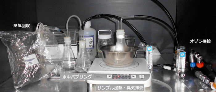 ミント系の香料に対する脱臭実験