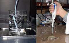 オゾンラボ124/ミネラルウォーターの殺菌実験