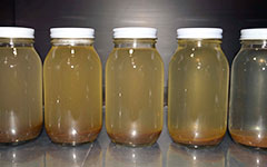 オゾンラボ126/食品工場における蒸気復水の殺菌処理