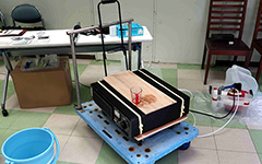 オゾンラボ140/水族館における適正オゾン水濃度と有効性実証