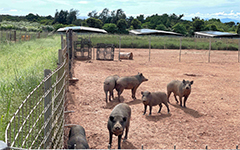 オゾンラボ144/沖縄におけるプロエンジニアリング