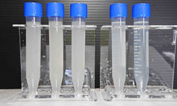 オゾンラボ158/離型剤廃液の水質浄化実験