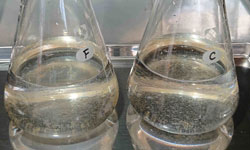 オゾンラボ165/水族館のろ過配管における沈殿物の分解除去