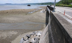 オゾンラボ167/河川に残留する化学肥料（亜硝酸態窒素）のオゾン分解