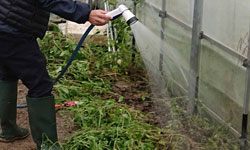 オゾンラボ170/車載オゾン水散水システム