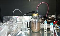 オゾンラボ182/堆肥製造工程で発生するアンモニアおよび臭気対策