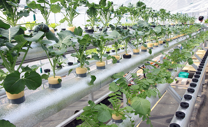 オゾンラボ019/産学協同研究について