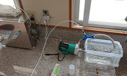 オゾンラボ193/植物のぬめり成分をオゾンで分解除去