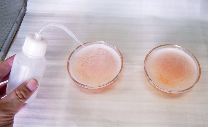 オゾンラボ045/オキアミエキス製造工場における配管の臭気対策