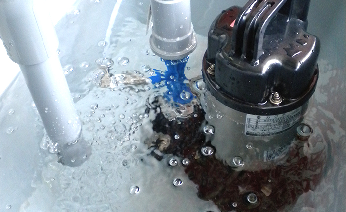 オゾンラボ006/水温とオゾン濃度