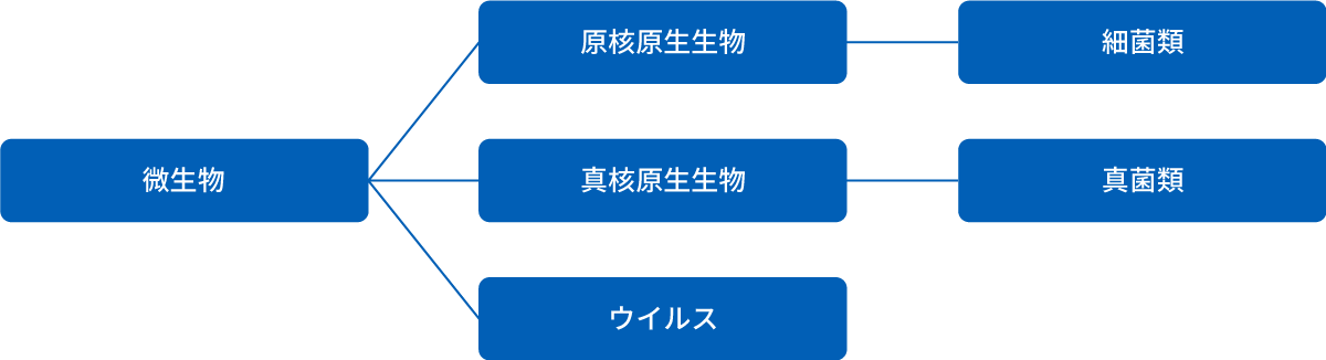 微生物とは？