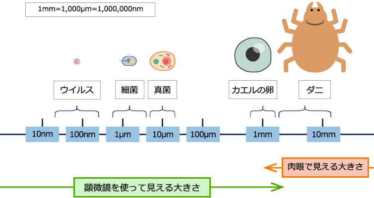 HEPAフィルターで補足できる微生物ってどんなもの？