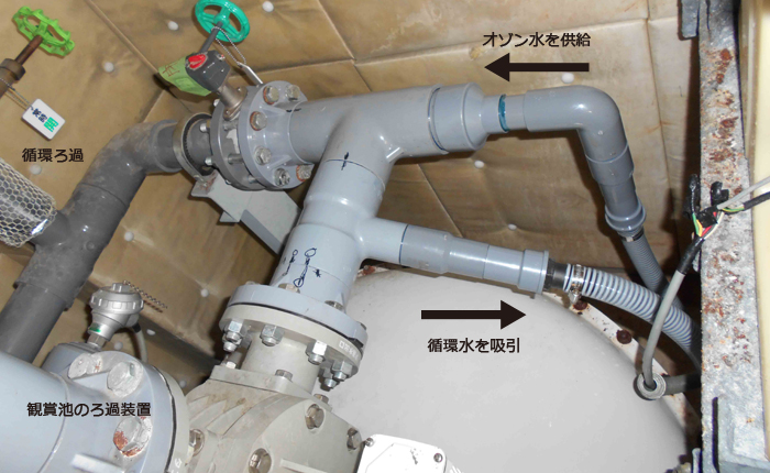 オゾン水殺菌による観賞池の藻発生に対する抑制実験