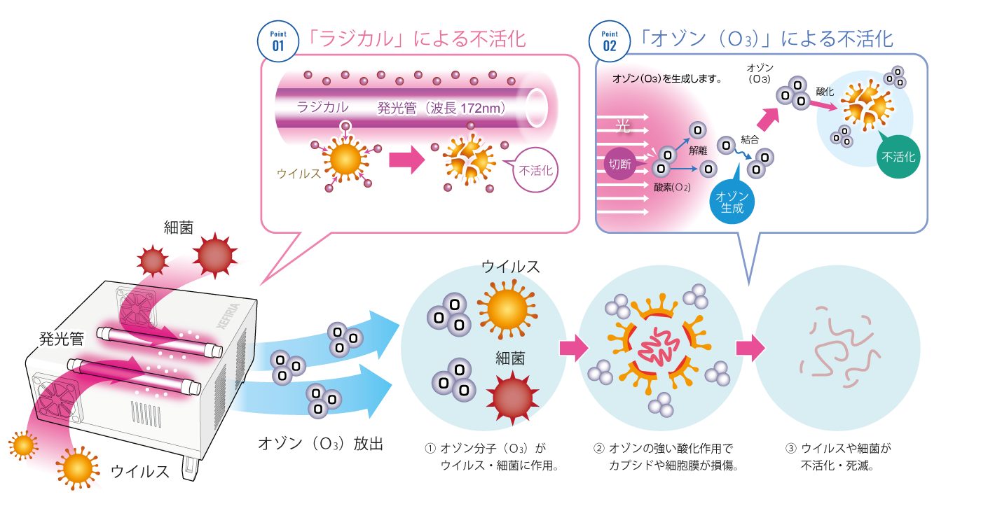 ウイルス不活性化・殺菌のメカニズム